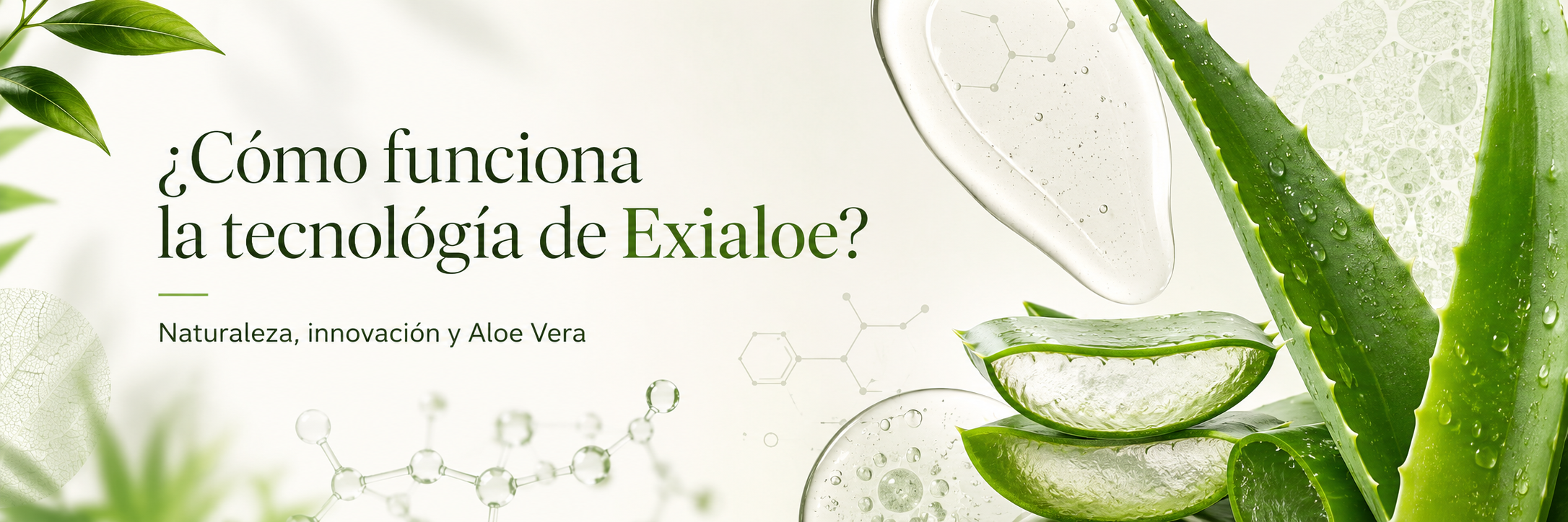 Tecnología Exialoe