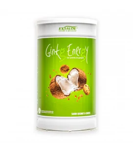 Batido Ginkg Energy, sabor Coco & Cookies
