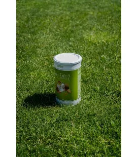 Batido Ginkg Energy, sabor Coco & Cookies