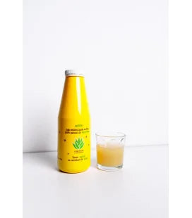 Jugo de Aloe Vera + Jalea Real y Vitaminas